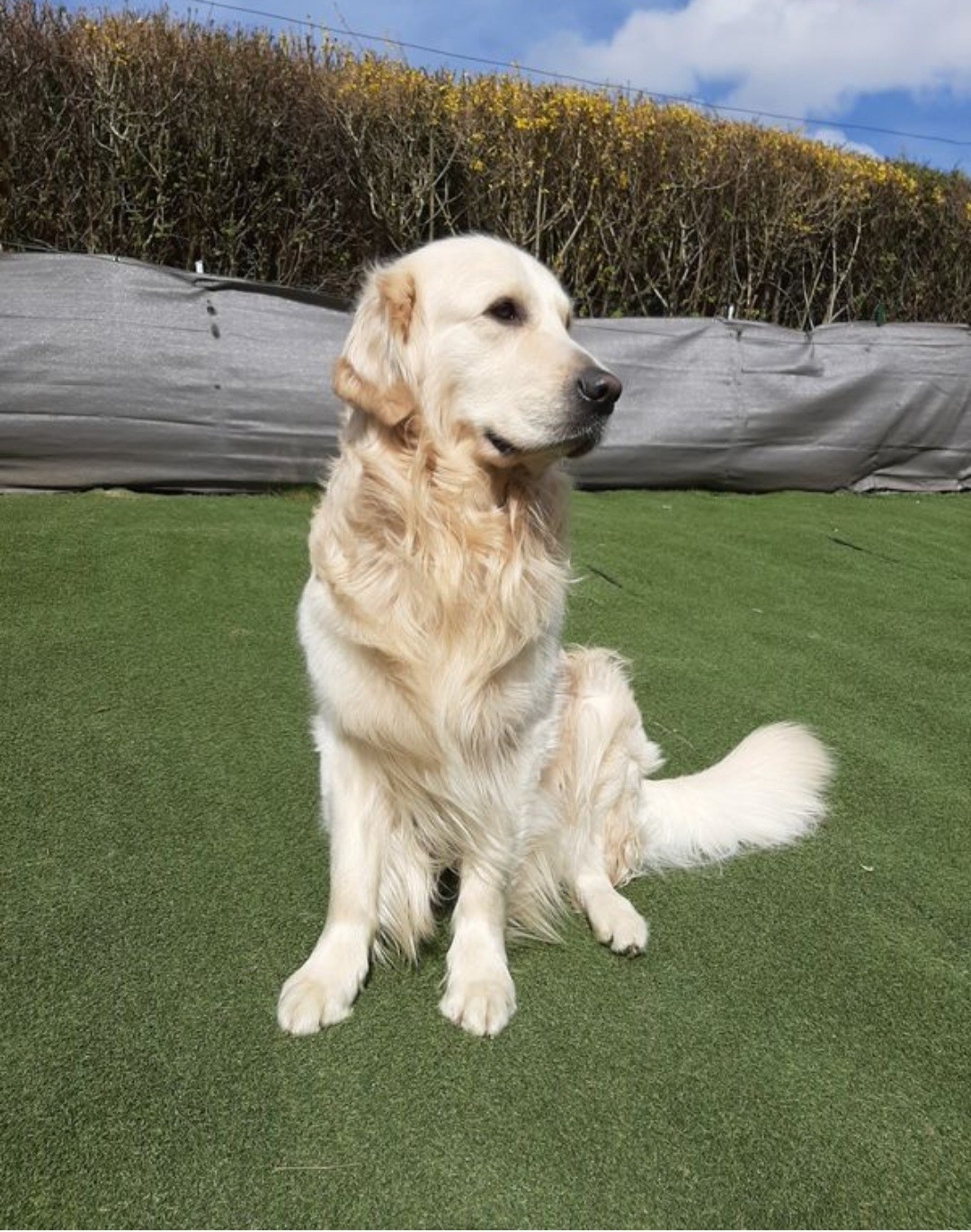 Saïko (Sans Affixe)