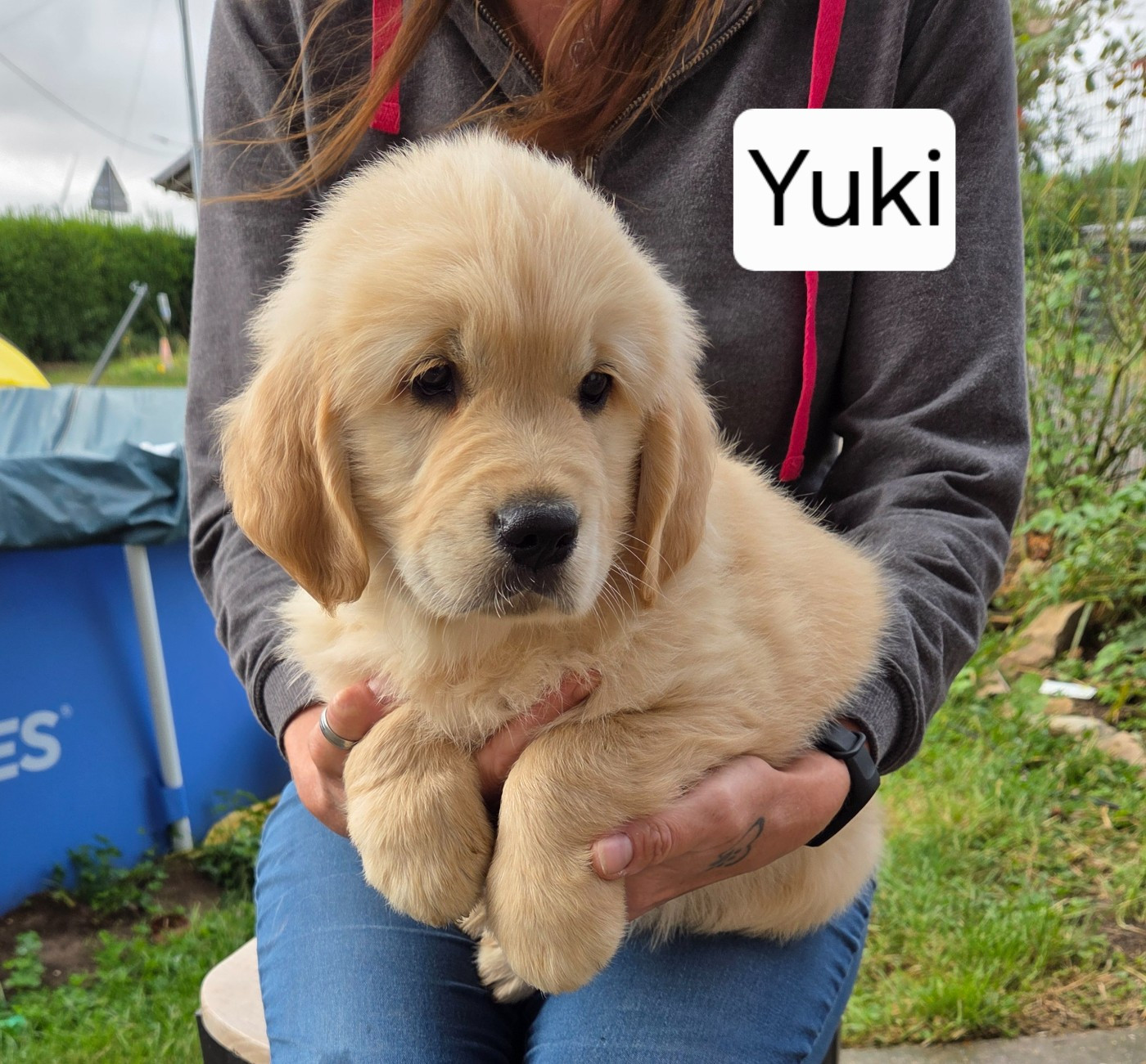 Les petits nés précédemment