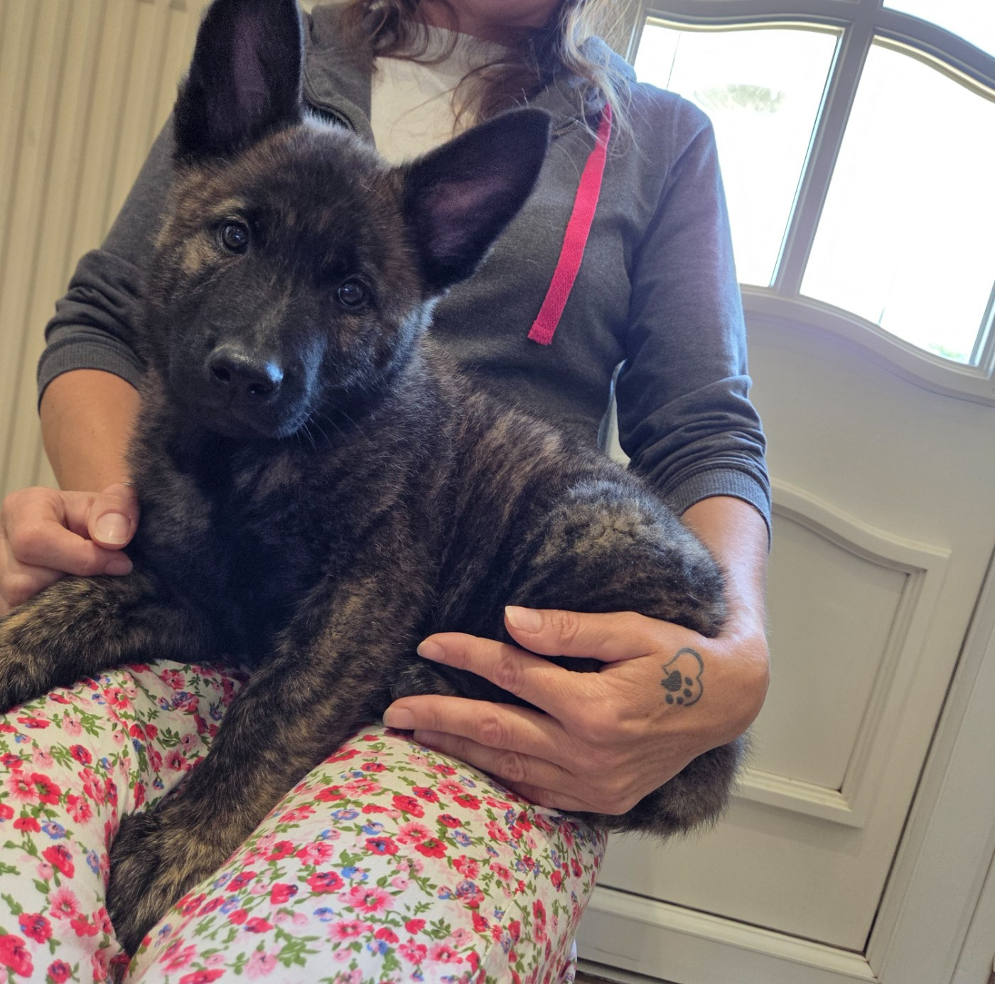 Petits nés chez nous